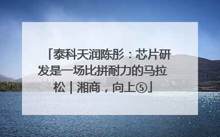 泰科天润陈彤：芯片研发是一场比拼耐力的马拉松｜湘商，向上⑤