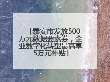 泰安市发放500万元数据要素券，企业数字化转型最高享5万元补贴