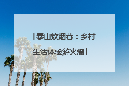 泰山炊烟巷：乡村生活体验游火爆