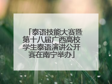 泰语技能大赛暨第十八届广西高校学生泰语演讲公开赛在南宁举办