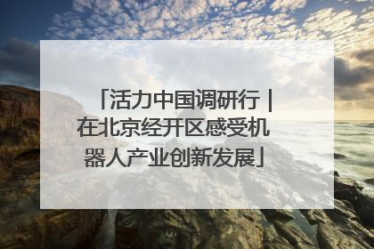 活力中国调研行｜在北京经开区感受机器人产业创新发展