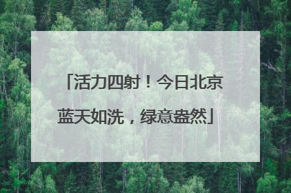 活力四射！今日北京蓝天如洗，绿意盎然