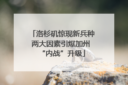 洛杉矶惊现新兵种 两大因素引爆加州“内战”升级