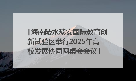 海南陵水黎安国际教育创新试验区举行2025年高校发展协同圆桌会会议