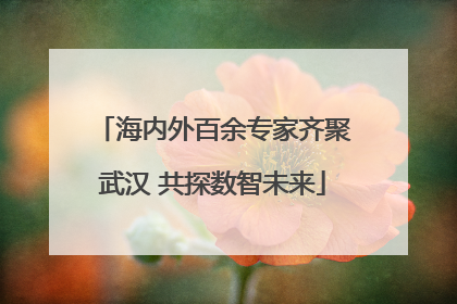 海内外百余专家齐聚武汉 共探数智未来