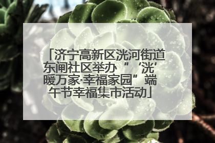 济宁高新区洸河街道东闸社区举办“‘洸’暖万家·幸福家园”端午节幸福集市活动
