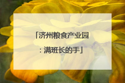 济州粮食产业园：满班长的手