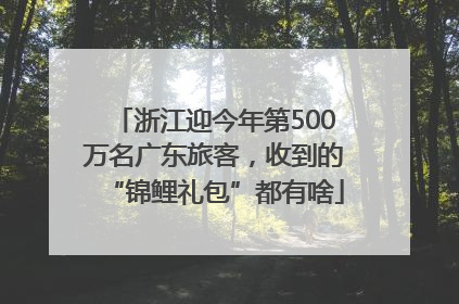 浙江迎今年第500万名广东旅客，收到的“锦鲤礼包”都有啥
