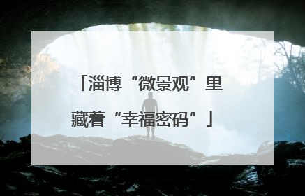 淄博“微景观”里藏着“幸福密码”