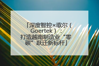深度智控×歌尔（Goertek）：打造越南制造业“零碳”跃迁新标杆