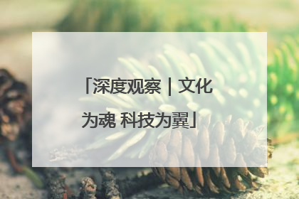 深度观察｜文化为魂 科技为翼