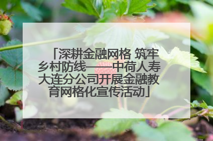 深耕金融网格 筑牢乡村防线——中荷人寿大连分公司开展金融教育网格化宣传活动