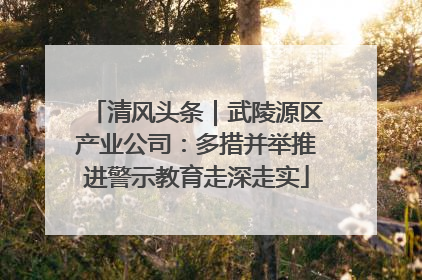 清风头条｜武陵源区产业公司：多措并举推进警示教育走深走实