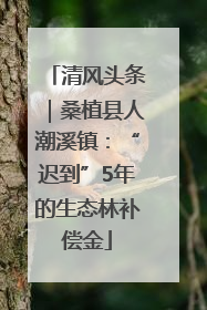 清风头条｜桑植县人潮溪镇：“迟到”5年的生态林补偿金
