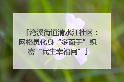 湾溪街道清水江社区：网格员化身“多面手”织密“民生幸福网”