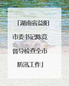 湖南省益阳市委书记陈竞督导检查全市防汛工作