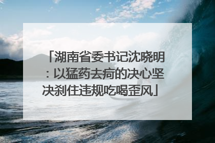 湖南省委书记沈晓明：以猛药去疴的决心坚决刹住违规吃喝歪风