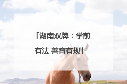 湖南双牌：学前有法 善育有规