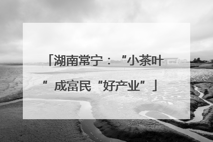 湖南常宁：“小茶叶”成富民“好产业”