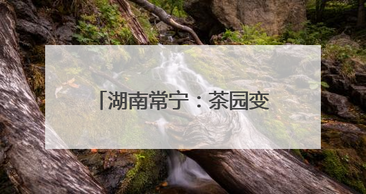 湖南常宁：茶园变课堂 学生采茶忙