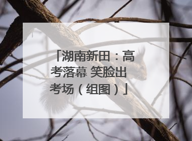 湖南新田：高考落幕 笑脸出考场（组图）