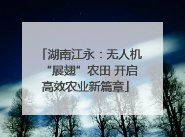 湖南江永：无人机“展翅”农田 开启高效农业新篇章