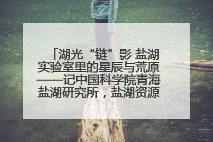 湖光“链”影 盐湖实验室里的星辰与荒原——记中国科学院青海盐湖研究所，盐湖资源化学实验室党总支书记、副主任刘忠