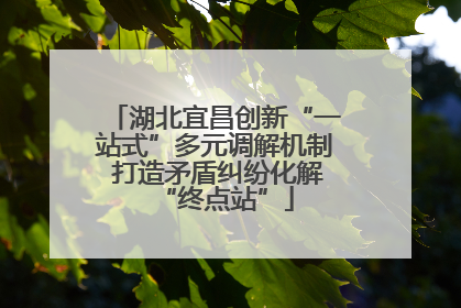 湖北宜昌创新“一站式”多元调解机制 打造矛盾纠纷化解“终点站”