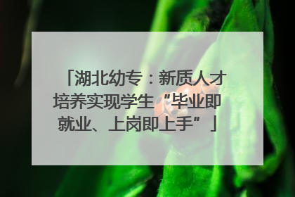 湖北幼专：新质人才培养实现学生“毕业即就业、上岗即上手”