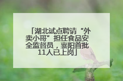 湖北试点聘请“外卖小哥”担任食品安全监督员，襄阳首批11人已上岗