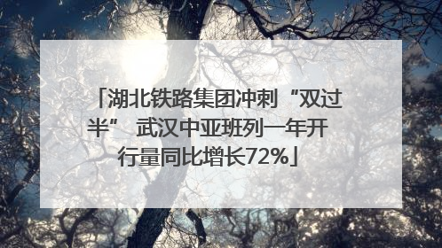 湖北铁路集团冲刺“双过半” 武汉中亚班列一年开行量同比增长72%