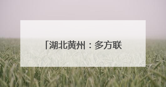 湖北黄州：多方联动合力解“薪”愁