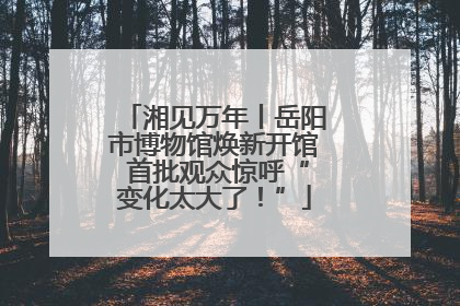 湘见万年丨岳阳市博物馆焕新开馆 首批观众惊呼“变化太大了！”