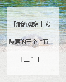 湘酒观察丨武陵酒的三个“五十三 ”