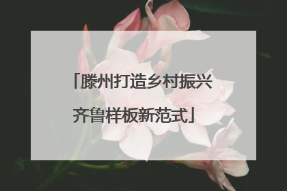 滕州打造乡村振兴齐鲁样板新范式