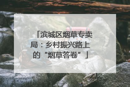 滨城区烟草专卖局：乡村振兴路上的“烟草答卷”