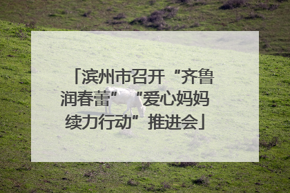 滨州市召开“齐鲁润春蕾”“爱心妈妈续力行动”推进会
