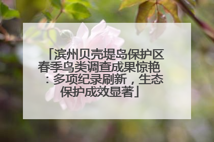 滨州贝壳堤岛保护区春季鸟类调查成果惊艳：多项纪录刷新，生态保护成效显著