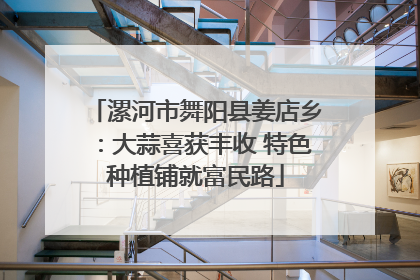 漯河市舞阳县姜店乡：大蒜喜获丰收 特色种植铺就富民路