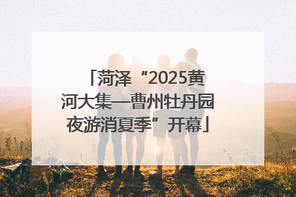 菏泽“2025黄河大集—曹州牡丹园夜游消夏季”开幕