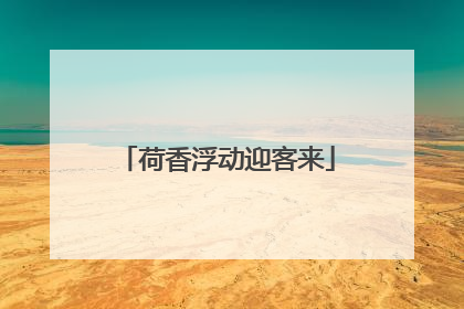 荷香浮动迎客来