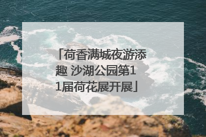 荷香满城夜游添趣 沙湖公园第11届荷花展开展