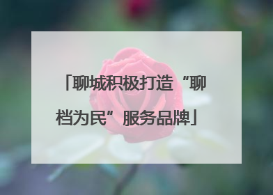 聊城积极打造“聊档为民”服务品牌