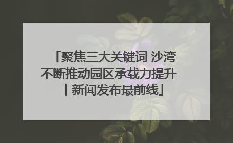 聚焦三大关键词 沙湾不断推动园区承载力提升丨新闻发布最前线