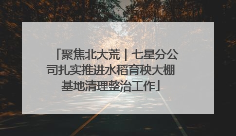 聚焦北大荒｜七星分公司扎实推进水稻育秧大棚基地清理整治工作