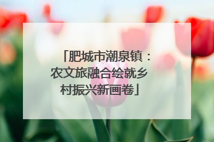 肥城市潮泉镇：农文旅融合绘就乡村振兴新画卷