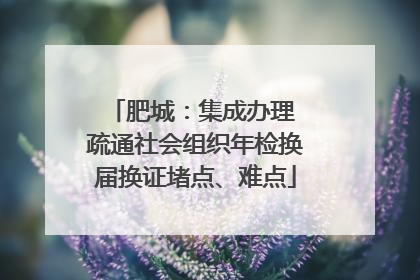 肥城：集成办理 疏通社会组织年检换届换证堵点、难点