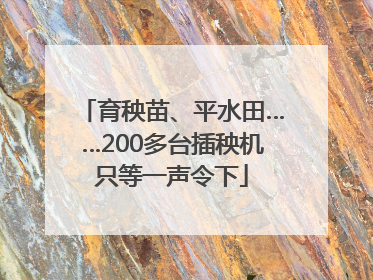 育秧苗、平水田……200多台插秧机只等一声令下