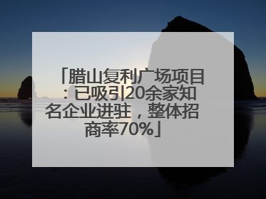 腊山复利广场项目：已吸引20余家知名企业进驻，整体招商率70%