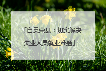 自贡荣县：切实解决失业人员就业难题